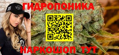 ешки Ставрополь