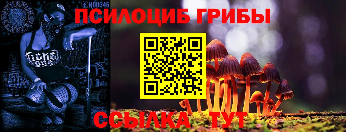 Псилоцибиновые грибы Psilocybine cubensis  Вход с VPN  Бахчисарай  Галлюциногенные грибы ЛСД 