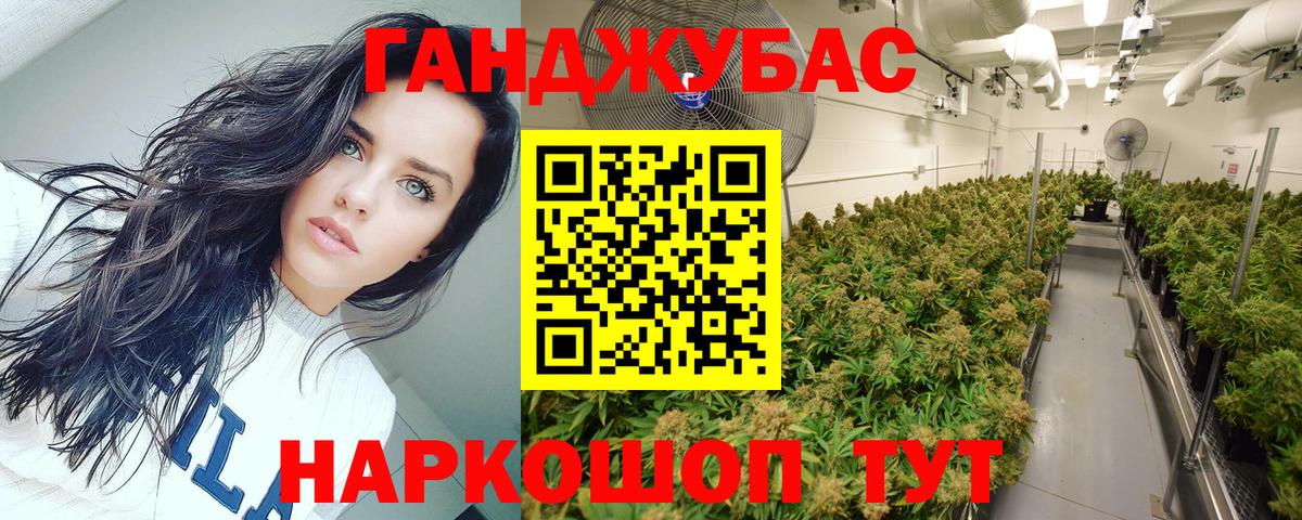 Конопля OG Kush Бахчисарай